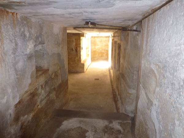 Middle Head Fortifications (13/03/2015)