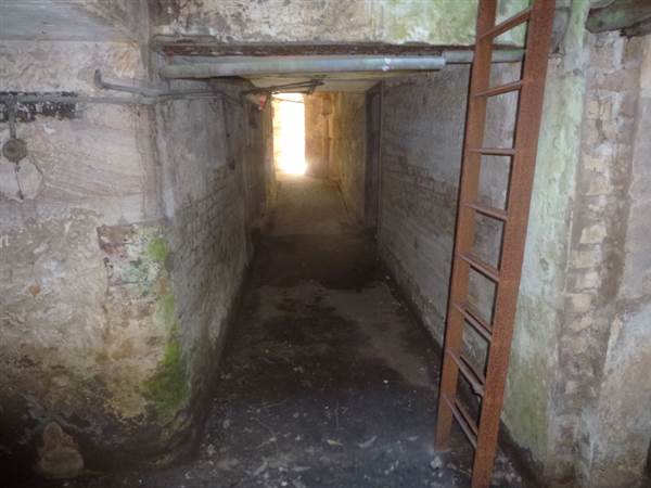 Middle Head Fortifications (13/03/2015)
