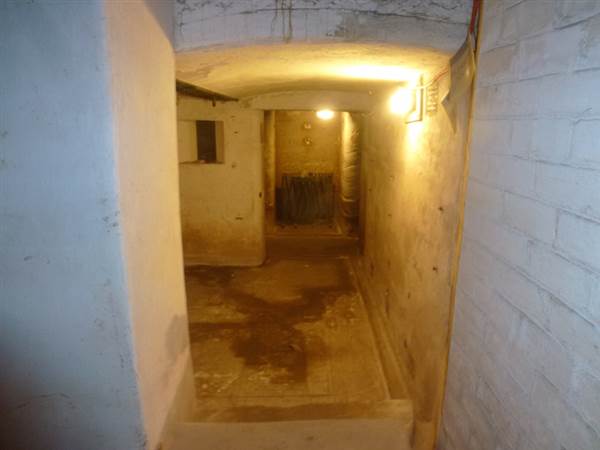 Middle Head Fortifications (13/03/2015)