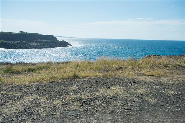 Bombo Headland Quarry (30/04/2015 - Credits: Colin McDougall)