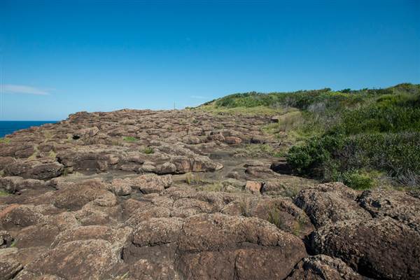 Bombo Headland Quarry (30/04/2015 - Credits: Colin McDougall)