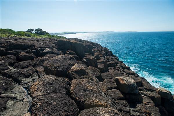 Bombo Headland Quarry (30/04/2015 - Credits: Colin McDougall)