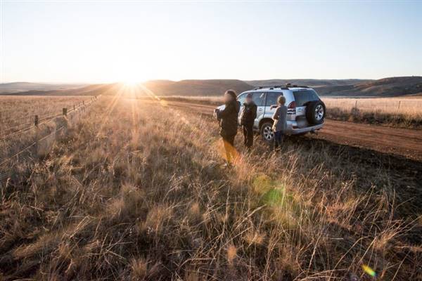 Monaro Plains (20/06/2015 - Credits: Colin McDougall)