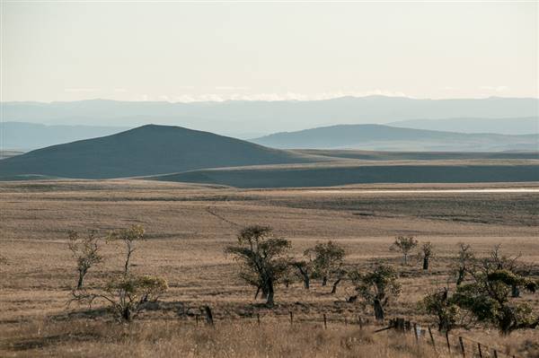 Monaro Plains (20/06/2015 - Credits: Colin McDougall)