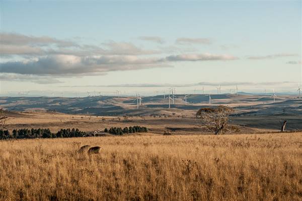 Boco Rock Wind Farm (24/07/2015)