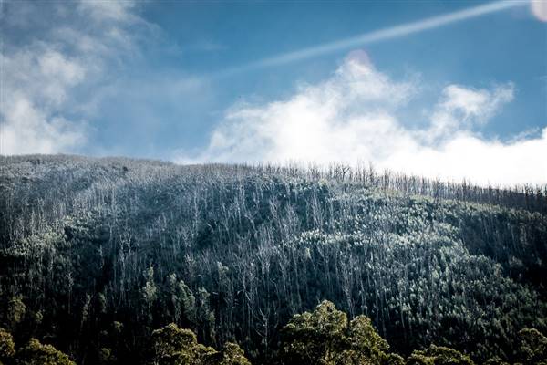 Thredbo Valley (24/07/2015 - Credits: Colin McDougall)