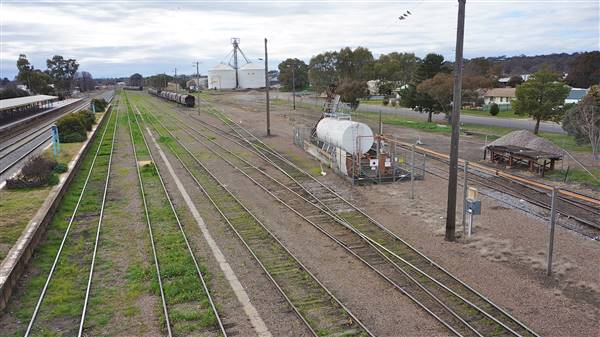 Cootamundra (3/08/2015 - Credits: Mary Barltrop)