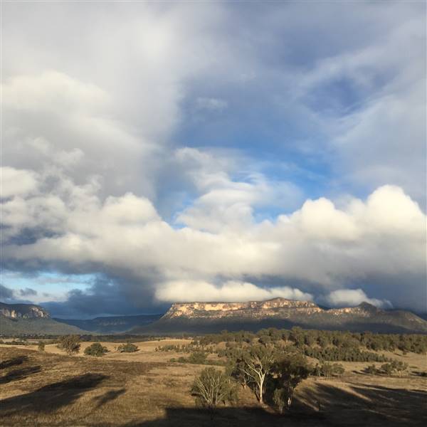 Snow Goose Farm - Glen Alice (8/11/2015)