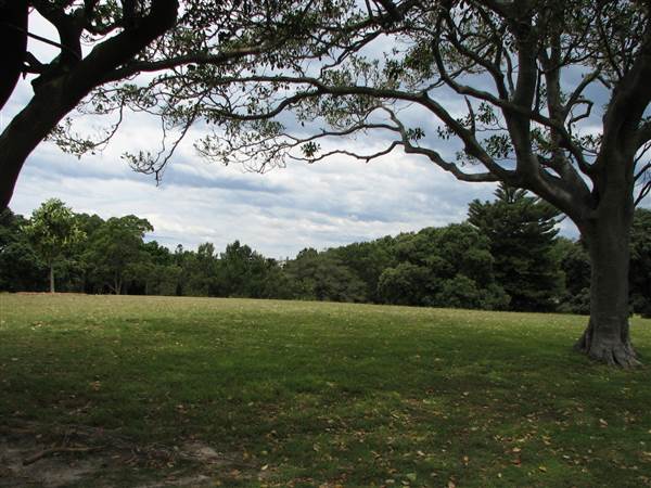 Centennial Park (24/02/2015 - Credits: Phillip Roope)