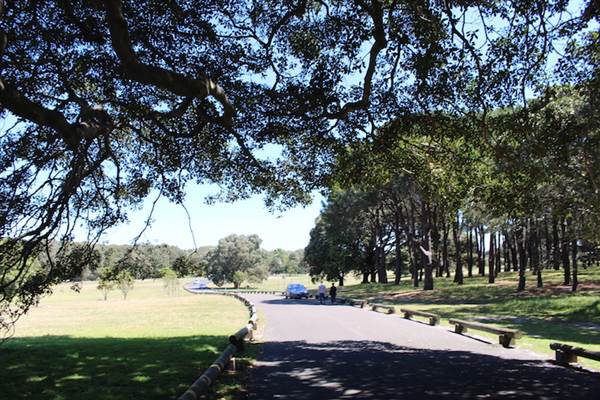 Centennial Park - Loch Ave South (24/10/2014)
