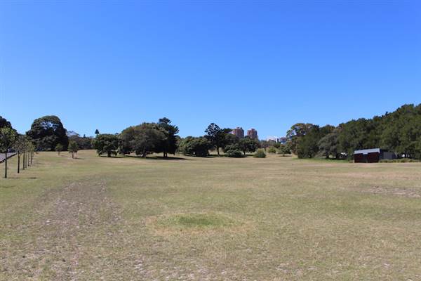 Centennial Park - Loch Ave South (24/10/2014)