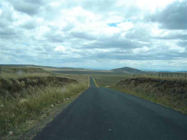 Monaro Plains - Summer (1/02/2005 - Credits: Colin McDougall)