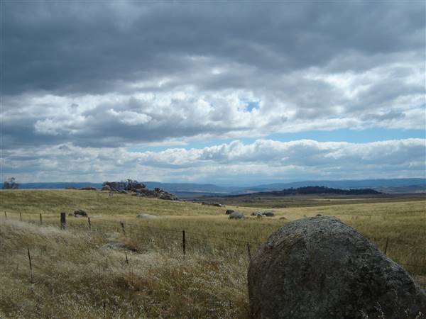 Monaro Plains - Summer (1/02/2005 - Credits: Colin McDougall)