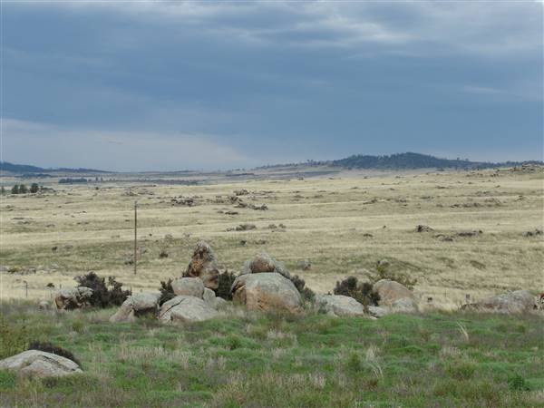 Monaro Plains - Summer (1/02/2005 - Credits: Colin McDougall)