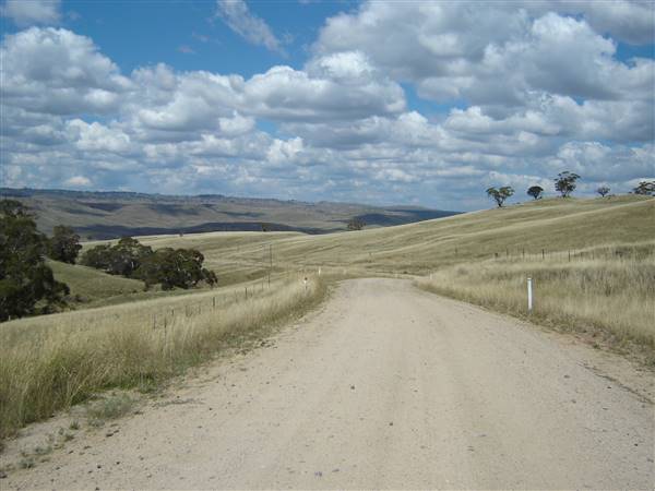 Monaro Plains - Summer (1/02/2005 - Credits: Colin McDougall)