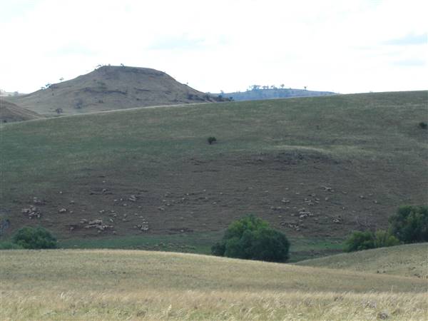 Monaro Plains - Summer (1/02/2005 - Credits: Colin McDougall)