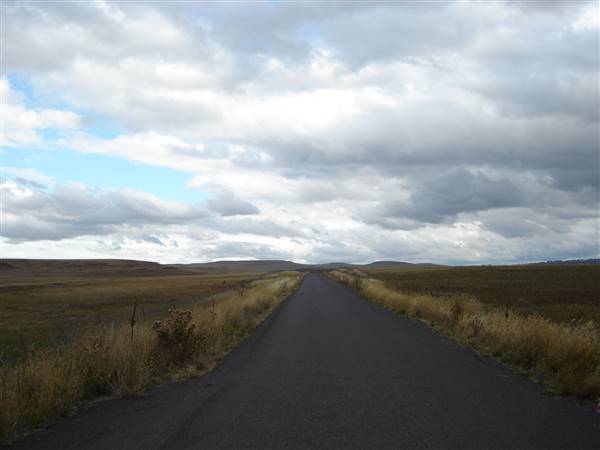 Monaro Plains (1/02/2005 - Credits: Colin McDougall)