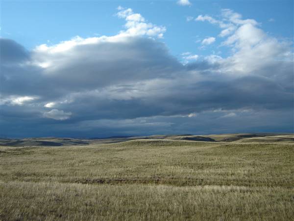 Monaro Plains (1/02/2005 - Credits: Colin McDougall)