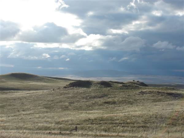 Monaro Plains (1/02/2005 - Credits: Colin McDougall)