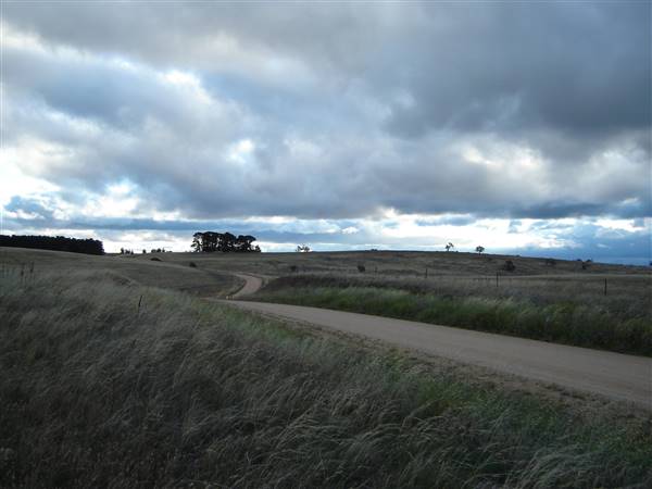 Monaro Plains (1/02/2014 - Credits: Colin McDougall)