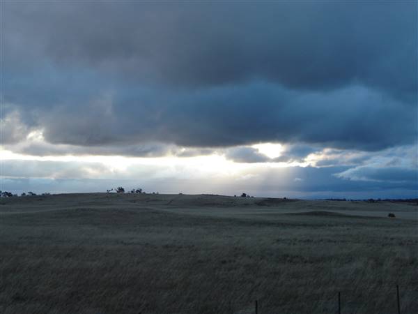 Monaro Plains (1/02/2014 - Credits: Colin McDougall)