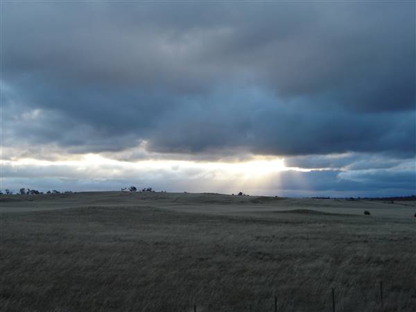 Monaro Plains (1/02/2014 - Credits: Colin McDougall)