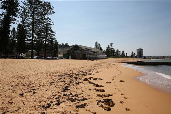 Collaroy Beach (20/11/2015)