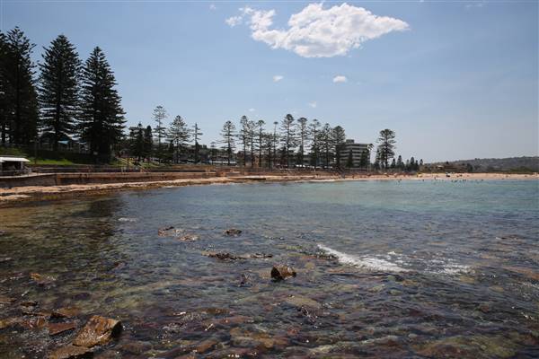 Dee Why Beach and Surrounds (20/11/2015 - Credits: Lisa Scope)