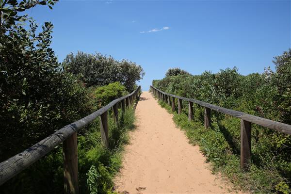 Dee Why Beach and Surrounds (20/11/2015 - Credits: Lisa Scope)