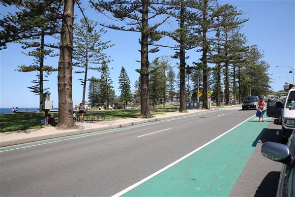 Dee Why Beach and Surrounds (20/11/2015 - Credits: Lisa Scope)