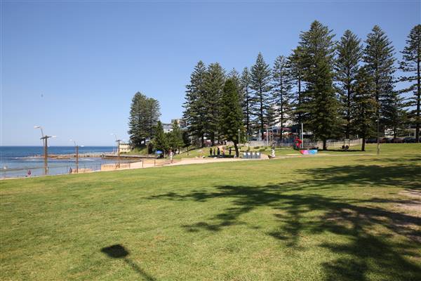 Dee Why Beach and Surrounds (20/11/2015 - Credits: Lisa Scope)