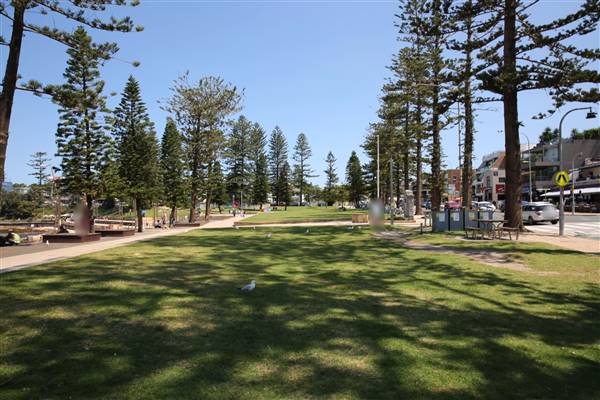 Dee Why Beach and Surrounds (20/11/2015 - Credits: Lisa Scope)