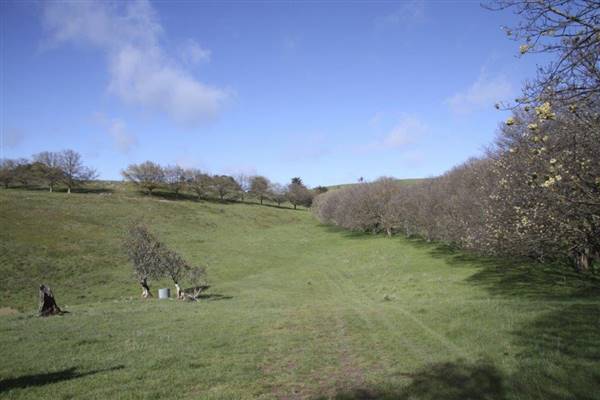 Private House - Crookwell (5/02/2016)