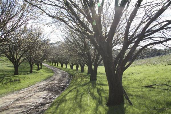 Private House - Crookwell (5/02/2016)