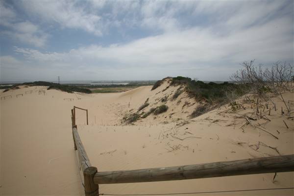 Cronulla Beach North End (Greenhills) (15/03/2016)