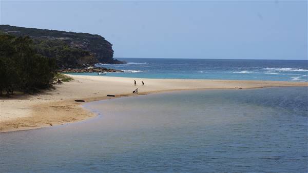 Wattamolla Beach (1/07/2016 - Credits: Mary Barltrop)