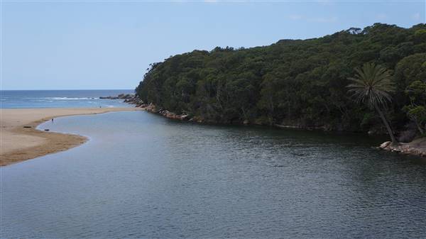 Wattamolla Beach (1/07/2016 - Credits: Mary Barltrop)