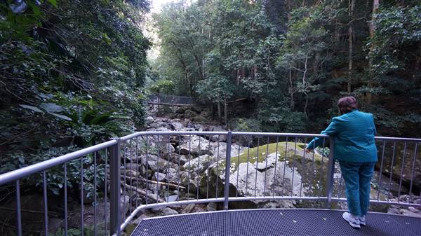 Minnamurra Rainforest Walk - Budderoo National Park (2/07/2016 - Credits: Mary Barltrop)