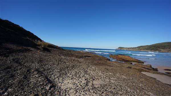 Frazer Beach Campground - Munmorah State Conservation Area (4/07/2016 - Credits: Mary Barltrop)