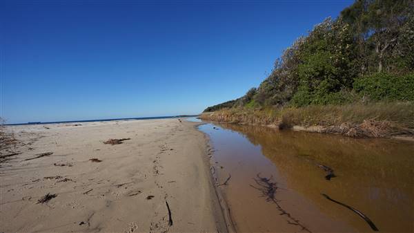 Frazer Beach Campground - Munmorah State Conservation Area (4/07/2016 - Credits: Mary Barltrop)