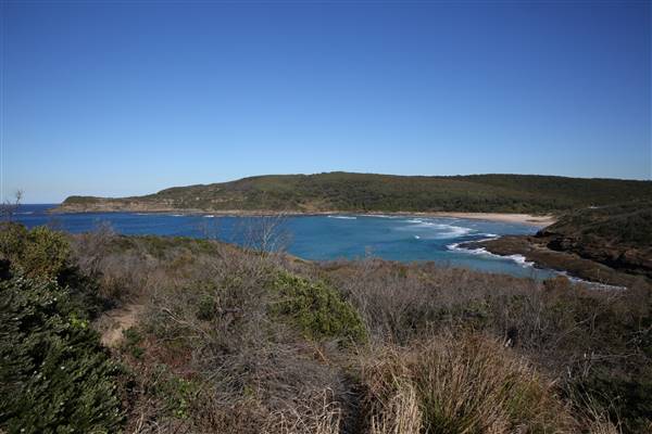 Munmorah State Conservation Area - Snapper Pt and Bongon Beach (4/07/2016)