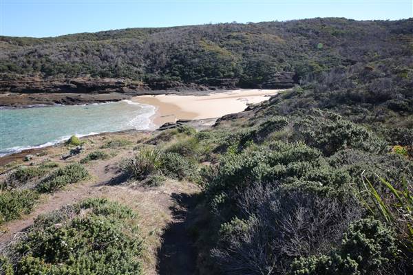 Munmorah State Conservation Area - Snapper Pt and Bongon Beach (4/07/2016)