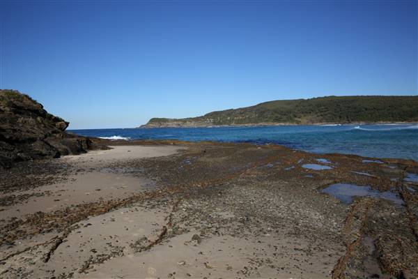 Munmorah State Conservation Area - Snapper Pt and Bongon Beach (4/07/2016)