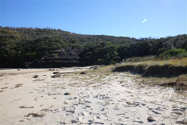 Munmorah State Conservation Area - Snapper Pt and Bongon Beach (4/07/2016)