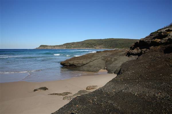 Munmorah State Conservation Area - Snapper Pt and Bongon Beach (4/07/2016)
