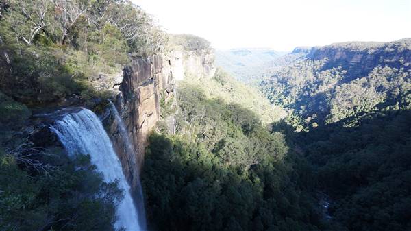 Fitzroy Falls & Twin Falls - Morton National Park (4/07/2016 - Credits: Mary Barltrop)