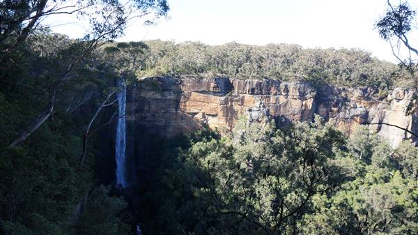 Fitzroy Falls & Twin Falls - Morton National Park (4/07/2016 - Credits: Mary Barltrop)