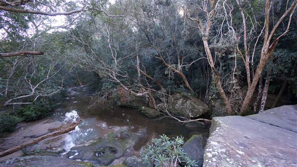 Somersby Falls picnic area - Brisbane Water National Park (4/07/2016 - Credits: Mary Barltrop)