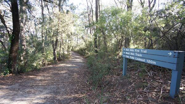 Fitzroy Falls & Twin Falls - Morton National Park (4/07/2016 - Credits: Mary Barltrop)