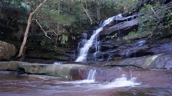 Somersby Falls picnic area - Brisbane Water National Park (4/07/2016 - Credits: Mary Barltrop)